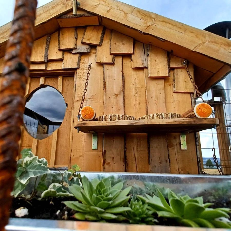 La Cabane Du Coing Visé Kültér fotó