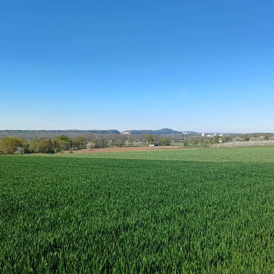 La Cabane Du Coing Visé Kültér fotó